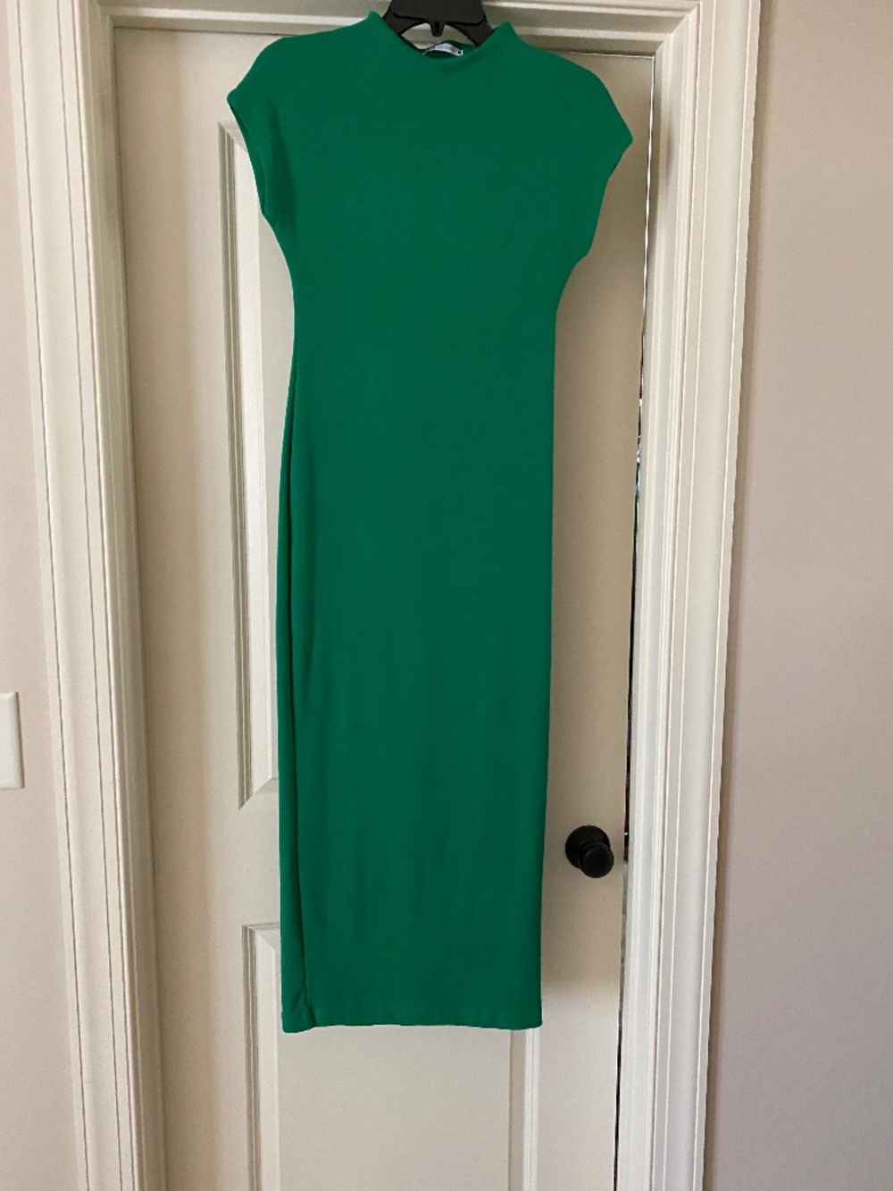 Zara Sleeveless turtleneck dress